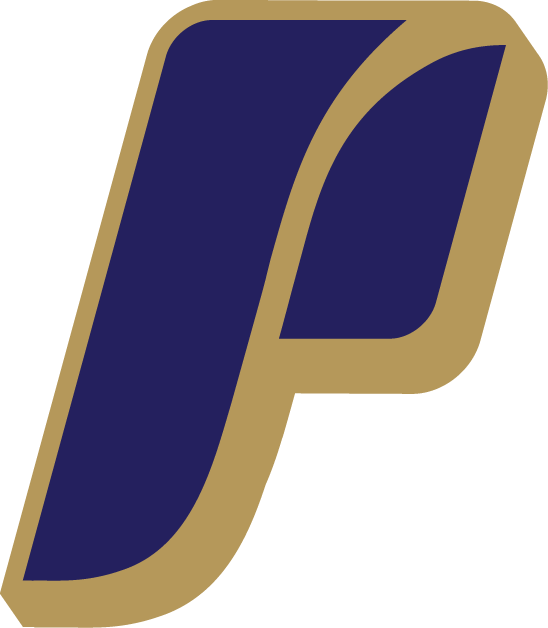 Portland Pilots 2006-Pres Alternate Logo diy iron on heat transfer